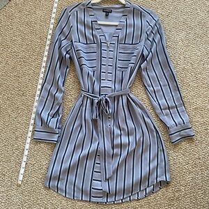 Express Striped Blue Belted Dress